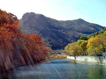 新澳天天开奖资料大全旅游团，奥迪车烧机油